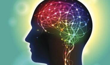 Anandamid: ein Neurotransmitter, der das Glück beeinflusst