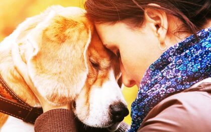 Was uns dazu gebracht hat, mit solcher Intensität ein Tier zu lieben