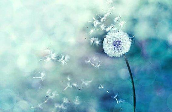 Wenn sich die Zufälle häufen, bist du auf einem guten Weg