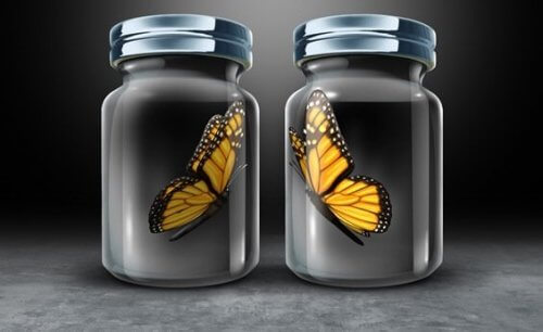 Asymmetrische Gegenseitigkeit - ein Hindernis in unseren Beziehungen