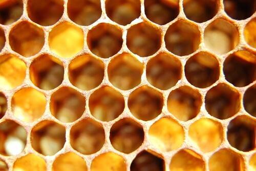 Trypophobie: Ursachen, Symptome und Behandlung