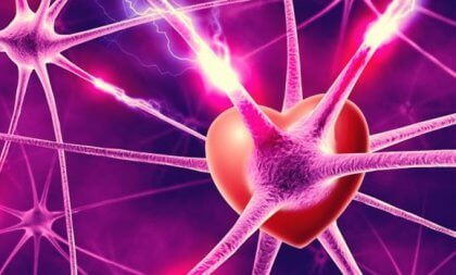 Neurone, Hormone und Liebe