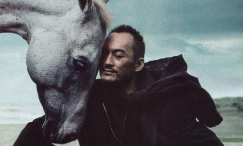 Der rationale Reiter und das emotionale Pferd: ein Gleichgewicht finden