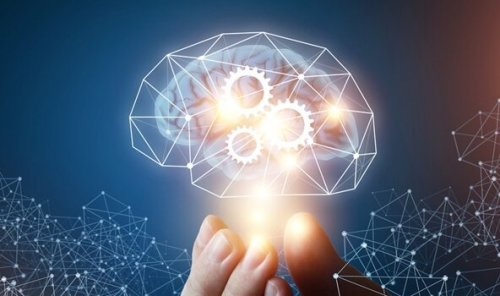 Die Theorie der machiavellistischen Intelligenz