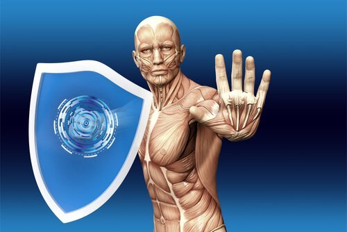 Wie funktioniert das Immunsystem?