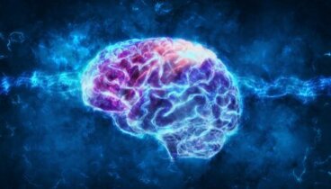 Psychophysiologie: Was ist das?