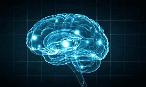 Untersuchungsmethoden auf dem Gebiet der Biopsychologie