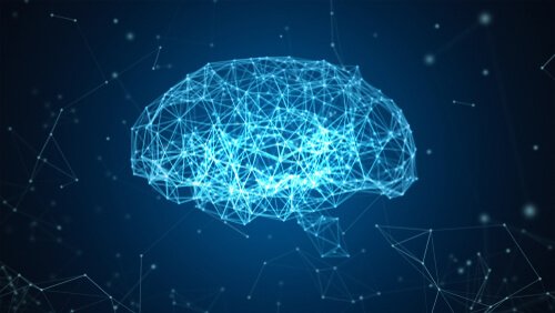 Das Blue Brain-Projekt