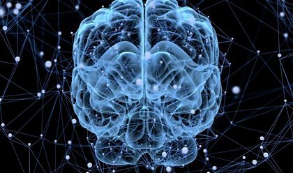 Schläft das Gehirn?