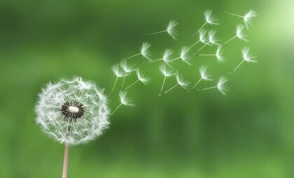 Nutze das Gesetz der geringsten Anstrengung, um mit Stress umzugehen