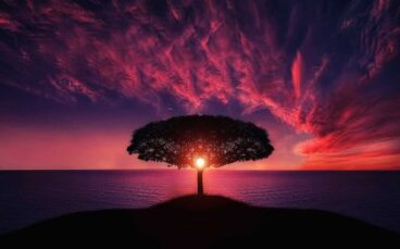 Ahimsa: Die Philosophie des integralen Friedens