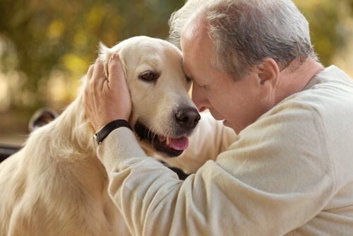 Tiergestützte Therapie bei Alzheimer-Patienten