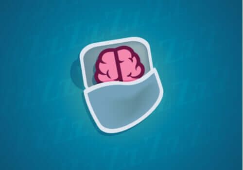 Warum ist guter Schlaf für unsere Neuronen wichtig?