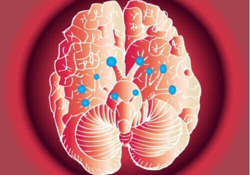 Unsere Hirnnerven und ihre Funktion