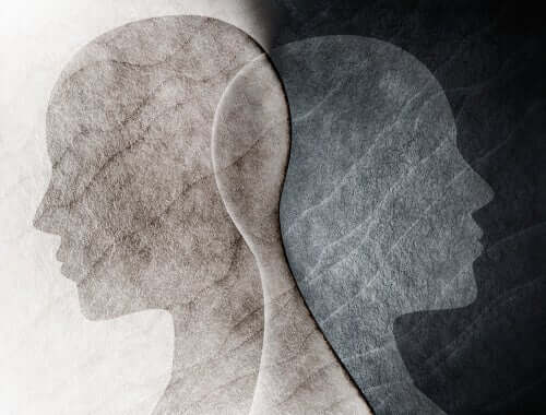 Genetik und Psychoanalyse