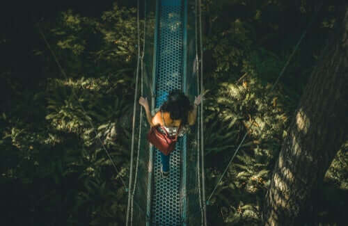 Dutton und Aron und die Theorie der Fehlattribution von Erregung