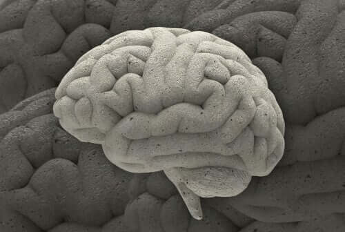 Drei faszinierende neurowissenschaftliche Fälle