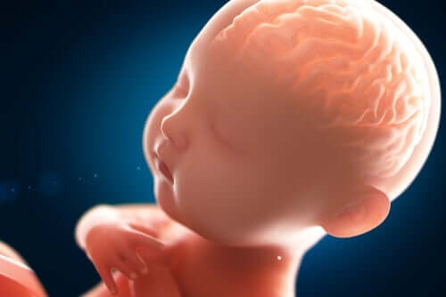 Der Geist eines Babys - wie sieht es darin aus?