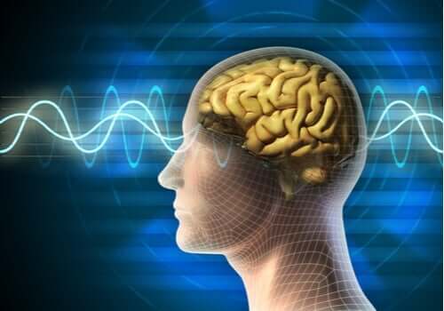 Die Elektrokonvulsionstherapie: Anwendungsbereiche