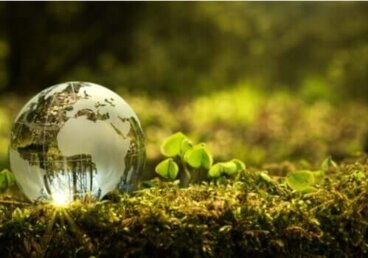 Umweltschutz: Was kannst du persönlich dazu beitragen?