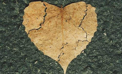 Emotionale Selbstverletzung: Was ist das und wie kannst du sie verhindern?