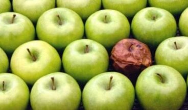 Die Fauler-Apfel-Theorie am Arbeitsplatz