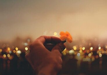 Weisheiten von Viktor Frankl über Liebe, Sinn und Mut