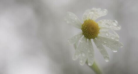 Widrigkeiten machen dich nicht immer psychisch widerstandsfähiger
