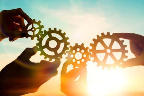 Menschliche Entwicklung und ihre Merkmale