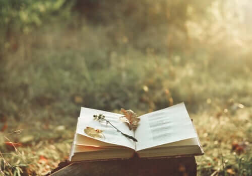 Die Magie der Poesie und wie sie Schmerzen lindern kann