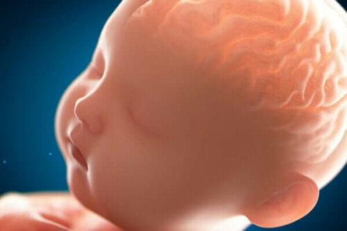 Pachygyrie: Das "glatte" Gehirn