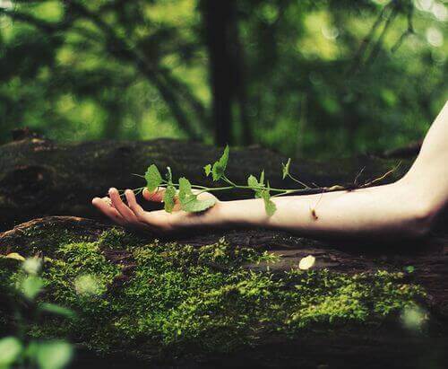 Wenn ich an mich glaube, werde ich nie aufhören zu wachsen