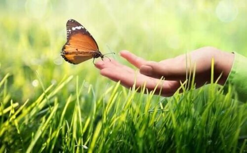 Kinästhetische Kommunikation: Warum ist sie so wichtig?