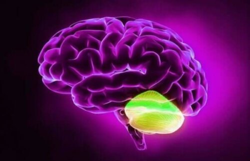 Das Kleinhirn und divergentes Denken