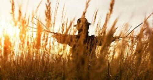 Der Vogelscheuchen-Ansatz zur Problemlösung