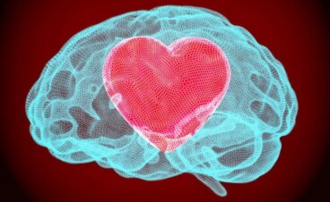 Neurobiologie der Vergebung: Wie sich das Gehirn verändert, wenn wir vergeben