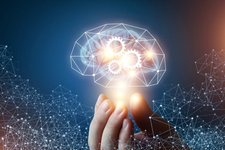 Fluide und kristalline Intelligenz: 4 Unterschiede