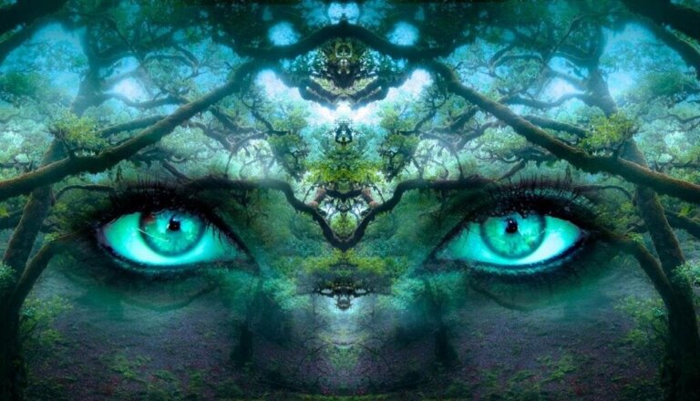 Qualia, das zarte Vergnügen subjektiver Erfahrungen