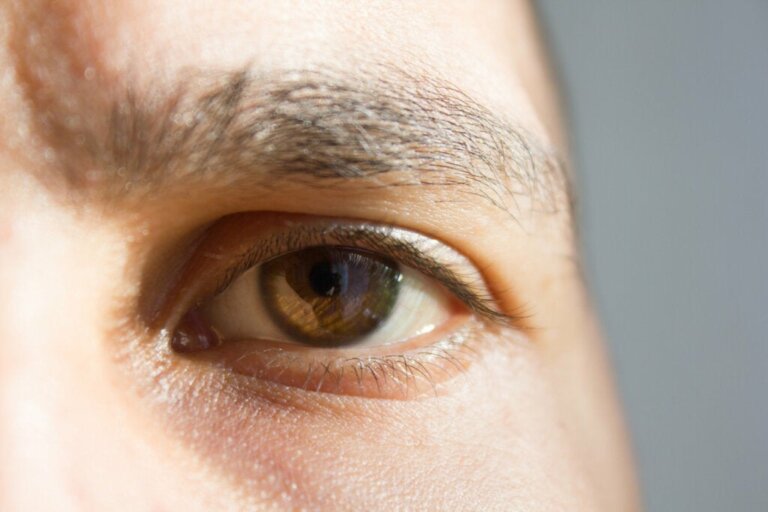 Sinneswahrnehmung: 7 kuriose Fakten