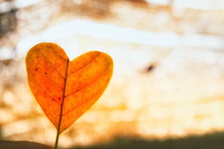 Mit bedingungsloser Liebe eine Trennung überwinden