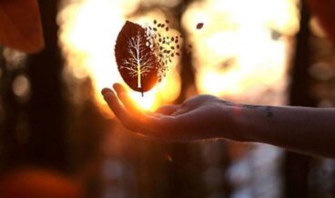 Freundlichkeit: das einzige Zeichen von Überlegenheit