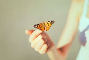 Techniken und Rituale zum Behandlungsabschluss
