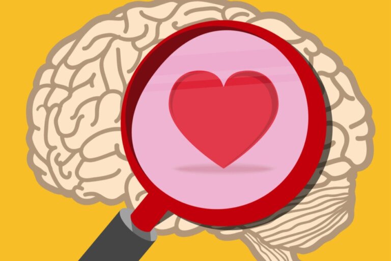 Praktische Intelligenz: Oxytocin versus Cortisol