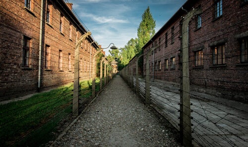 Eine fantastische Liebesgeschichte in Auschwitz