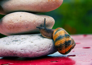 Selbstwirksamkeit: Was ist das?