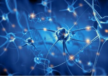 Was ist Psychobiologie?