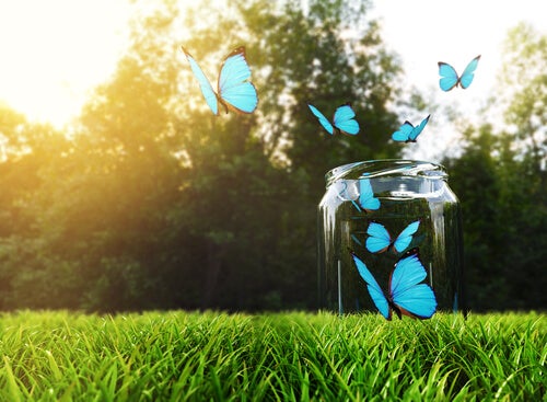 Glücksmomente im Glas für die ganze Familie
