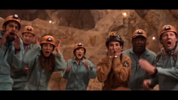 Corporate Animals: die Absurdität der Unternehmenswelt