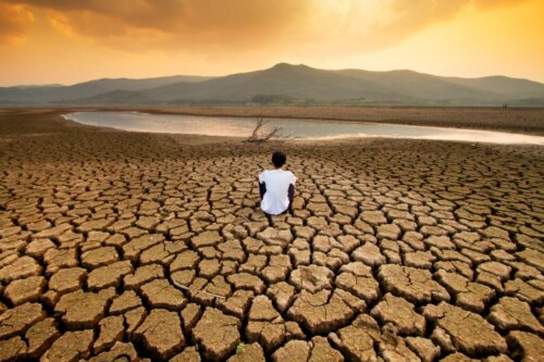 Die Auswirkungen des Klimawandels auf die psychische Gesundheit