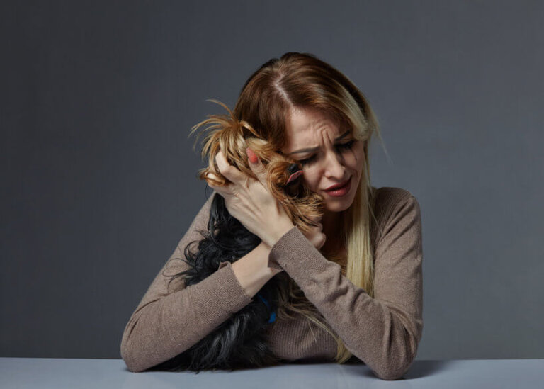 Wie wirkt sich dein eigener Stress auf deinen Hund aus?